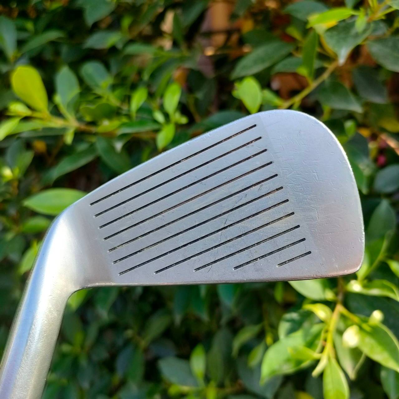 เหล็ก 3 HONMA LB-717 ก้าน SUPER LIGHT ก้าน 1 ดาว * FLEX R-1 ตัวท๊อปสุดในซีรี่ ตีดีมาก ก้านไทเทเนี่ยม