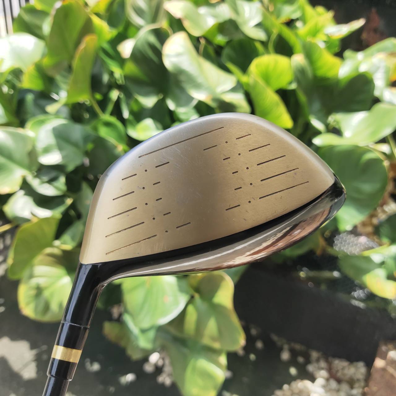 DRIVER SWORD iZU MAX COR เป็นตัวหน้าเด้งที่โหดที่สุด !!! MAX COR เด้งสุดขั้ว ชนรั้วชนธง !!!