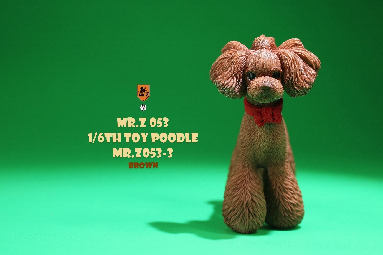 [สั่งจอง]Mr.Z MRZ053 animal model 1/6 : Toy Poodle
