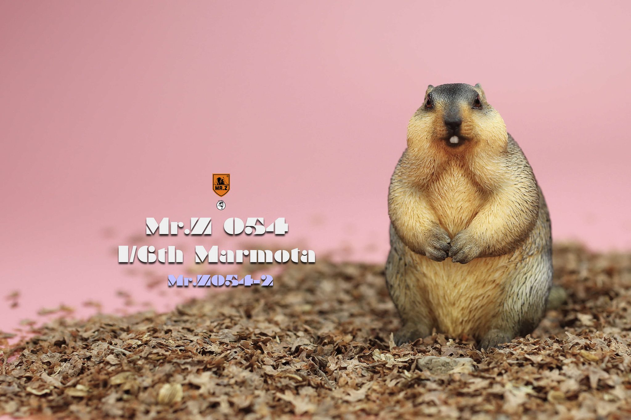 [สั่งจอง]Mr.Z MRZ054 1/6 : Animal Model - Marmota