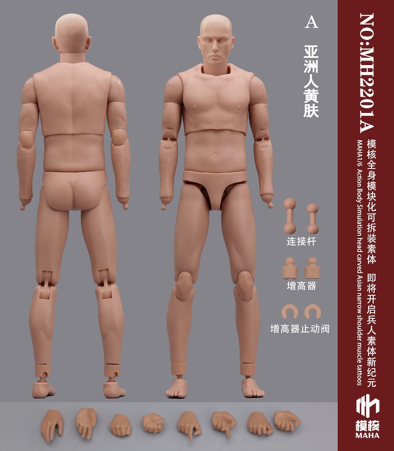 [สั่งจอง] MAHA studio 1/6 : ACTION BODY
