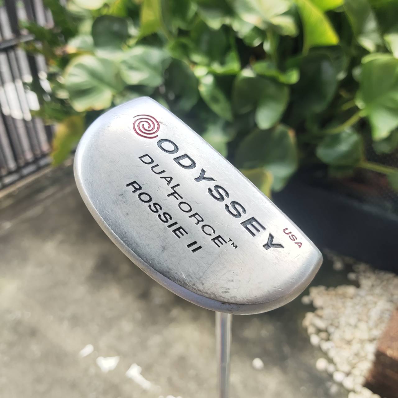 PUTTER ODYSSEY DUAL FORCE ROSSIE II รุ่นหน้าดำทั้งนุ่มและเกาะไลน์มาก