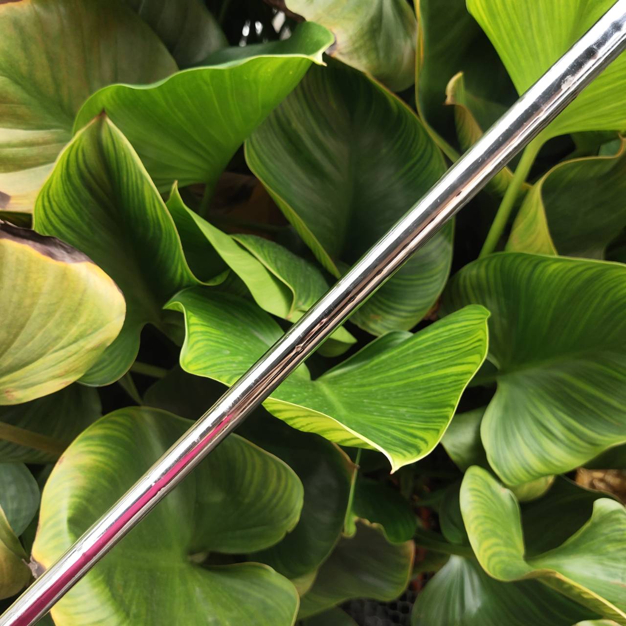 PING G2 – เหล็ก 3 HL (High Launch) เหล็กตีง่ายมาก ตีแม่นยำกว่า HYBRID