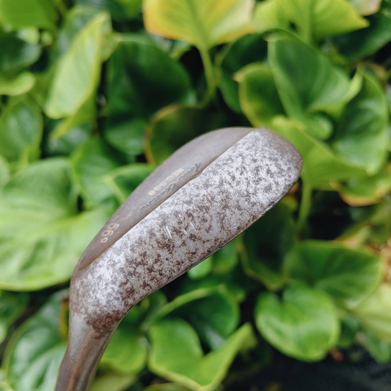 Cleveland REG588 Wedge 56° – รุ่นสนิมสุดคลาสสิก