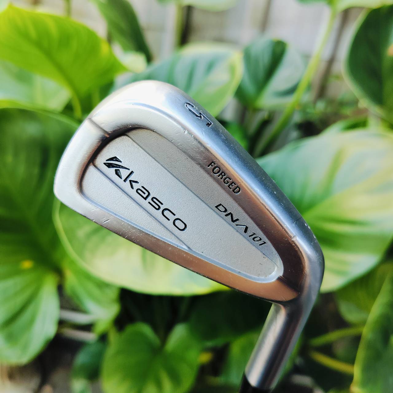 ลดราคาพิเศษ!!! ชุดเหล็ก KASCO DNA101 FORGED ก้าน กราไฟต์ FLEX S ก้านเบาแต่แม่นยำ ไม้กอล์ฟพรีเมี่ยมมือสอง ของแท้ By NakaraLuxurious