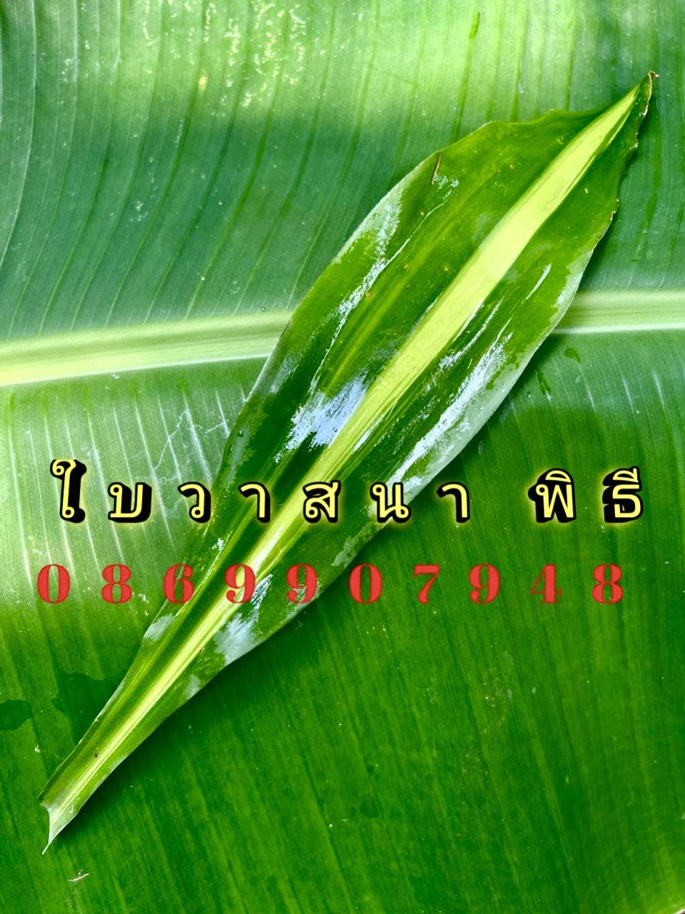 ใบไม้มงคล (พิธี)