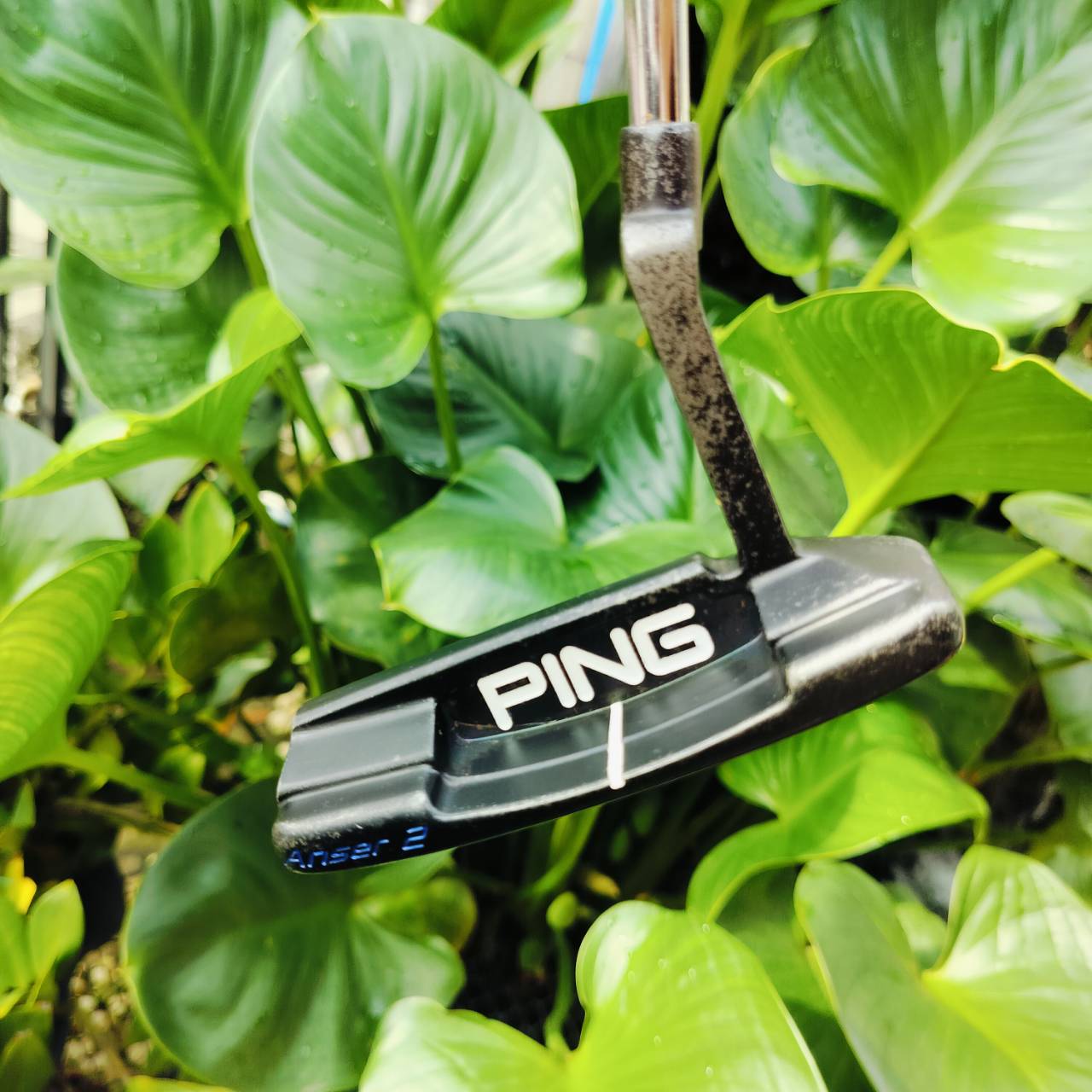 *** ไม้กอล์ฟมือซ้าย *** PUTTER PING ANSER2 CADENCE TR ความยาว 34 นิ้ว ตัวนี้เป็นตัวหน้าฟ้า BLUE : ALUMINIUM INSERT แผ่นหน้าอลุมิเนียมน้ำหนักเบา ให้ความรู้สึกที่นุ่มนวล ไม้กอล์ฟพรีเมี่ยมมือสอง ของแท้ By NakaraLuxurious