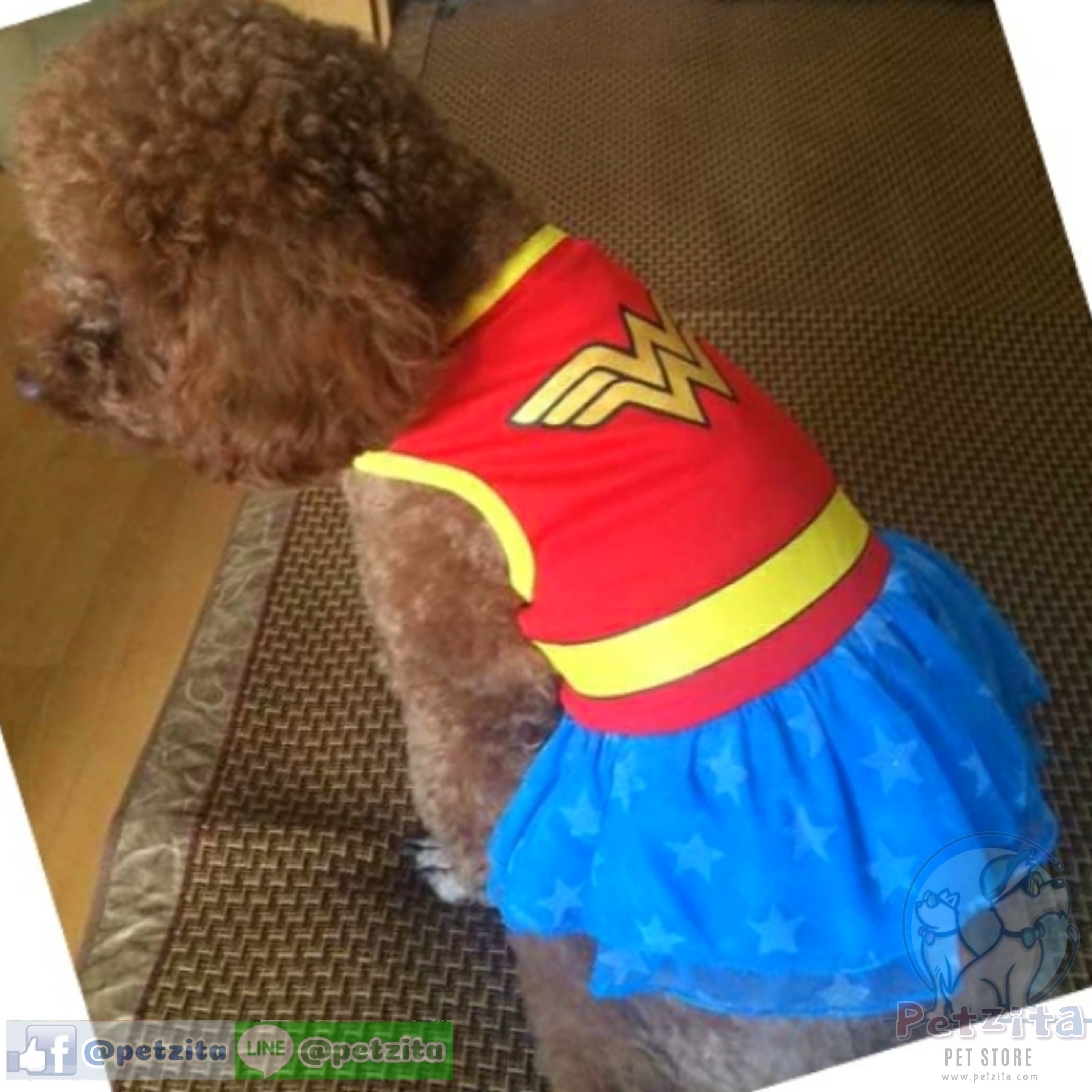 🇹🇭พร้อมส่ง🇹🇭🦸♀️🌟 ชุดเดรสคอสเพลย์ เดรส WONDERWOMAN 🌟🦸♀️ for pet เสื้อผ้าสัตว์เลี้ยง เดรสสุนัข เสื้อหมา ชุดแมว