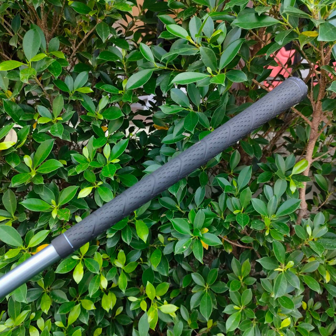 **ไม้กอล์ฟสำหรับผู้หญิง** ชุดเหล็ก TAYLORMADE RAC ตีง่ายมากๆ และช่วยเรื่องระยะ สำหรับคุณผู้หญิงท่่ตีไม่ไกล เหล็กชุดนี้สามารถช่วยได้ครับ มีเหล็ก 5-9 เเละ PW SW