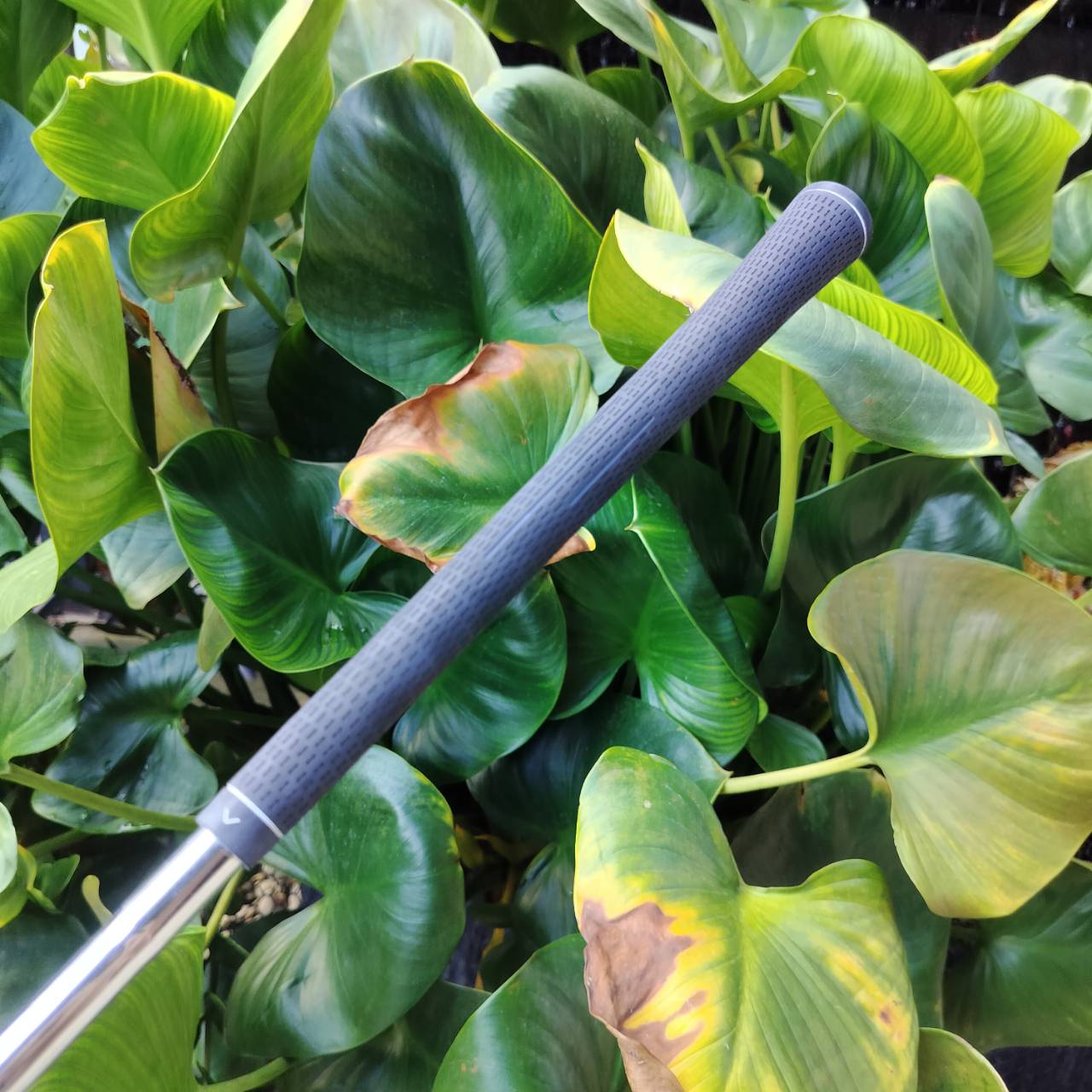 ไม้เหล็ก 9 รุ่น INESIS 100 จาก Decathlon เป็นตัวเลือกยอดนิยมสำหรับนักกอล์ฟมือใหม่ ไม้กอล์ฟพรีเมี่ยมมือสอง ของแท้ By NakaraLuxurious