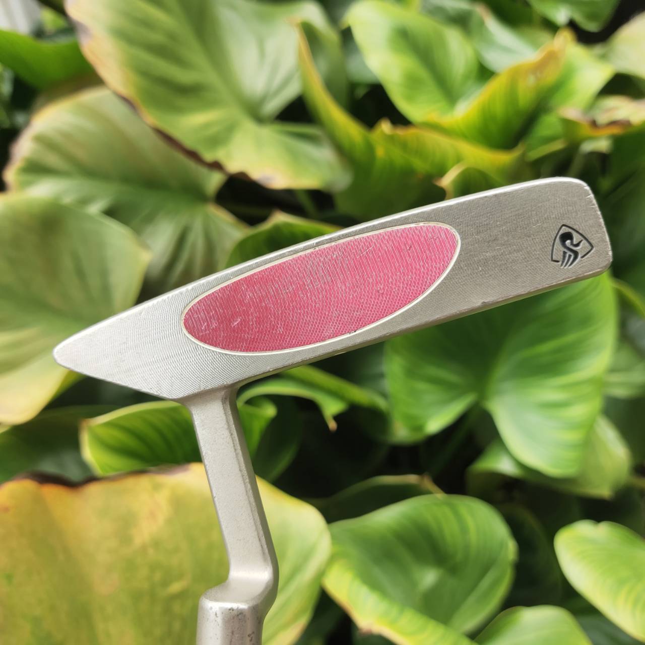 PUTTER TaylorMade Rossa Monaco Sport -1 หน้าไม้ AGSI+ Insert เกาะไลน์ขั้นเทพ