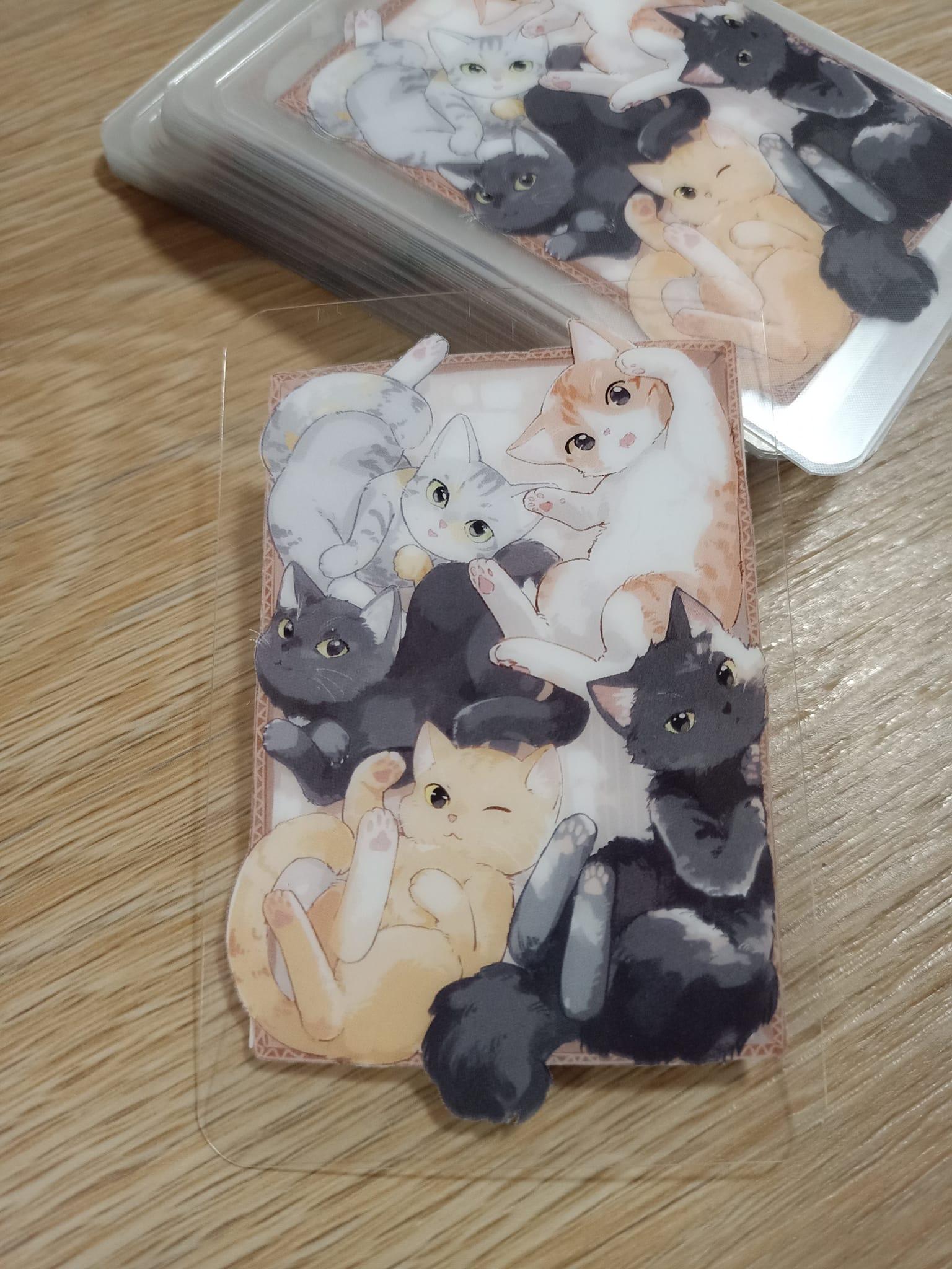 โปสการ์ด + การ์ดใส นักวาดของแมว2024