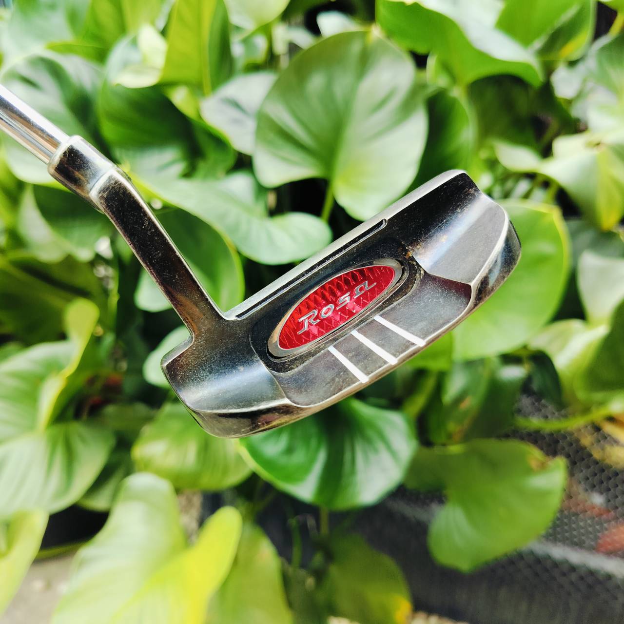PUTTER ROSA ความยาว 34 นิ้ว หน้าสัมผัสเกาะไลน์มากๆ พัตต์นิ่ง และทรงมอลเล็ตชดเชยสูง พัตต์ตรงมาก ไม้กอล์ฟพรีเมี่ยมมือสอง ของแท้ By NakaraLuxurious