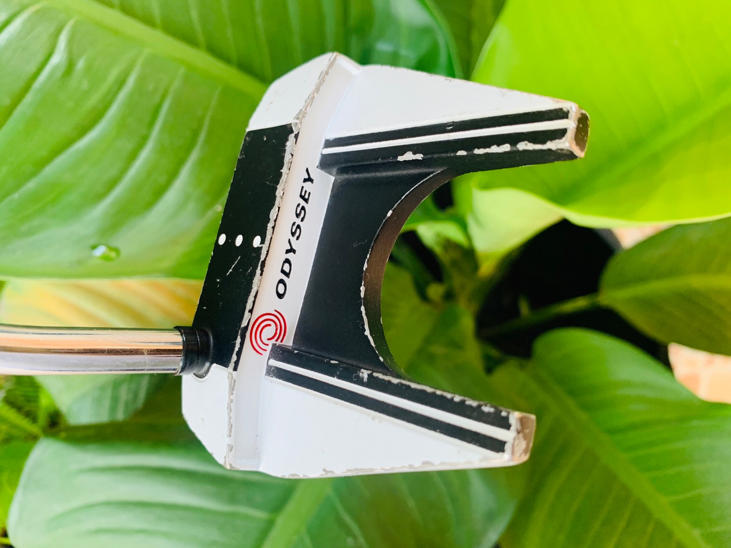 PUTTER ODYSSEY VERSA #7 WHITE