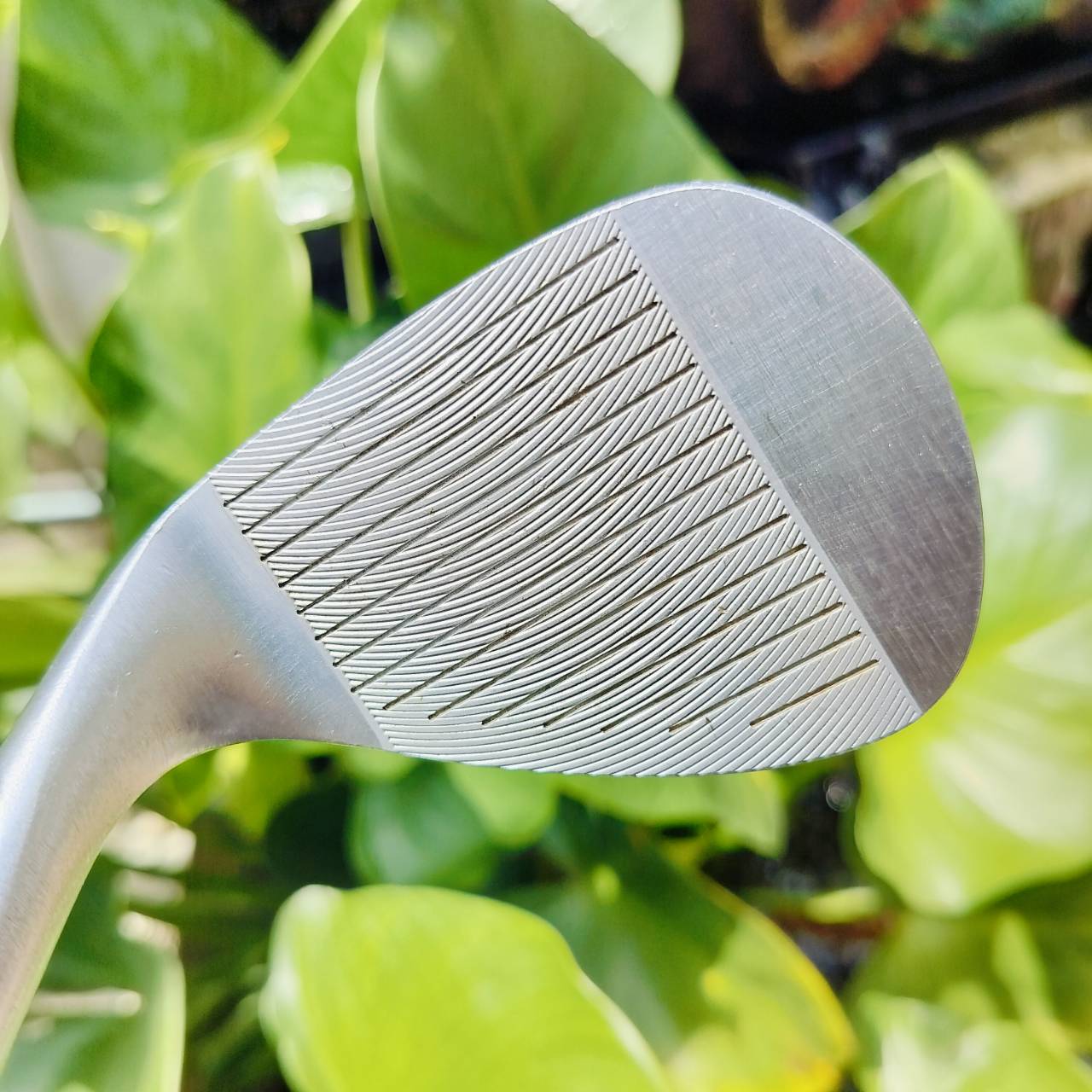 WEDGE ROKKO FORGED องศา 56 BOUNCE 11 ก้าน NS PRO MODUS WEDGE FLEX สุดยอด WEDGE งาน คราฟๆ เนียนๆ เจียร SOLE ได้สวยอย่างมากเลยค่ะ วัสดุ FORGED สุดพรีเมี่ยม ไม้กอล์ฟพรีเมี่ยมญี่ปุ่นมือสอง By NakaraLuxurious