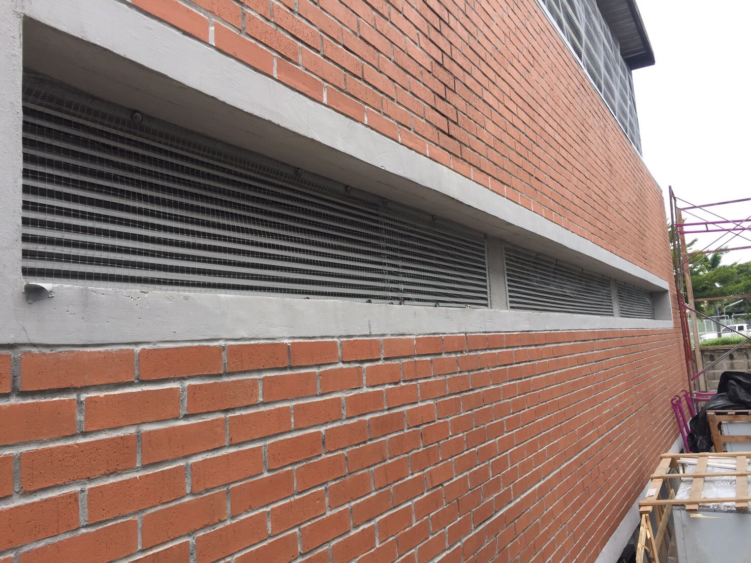 งานติดตาข่ายกันนก ตึกกายวิทยาทาน มหาวิทยาลัยมหิดล