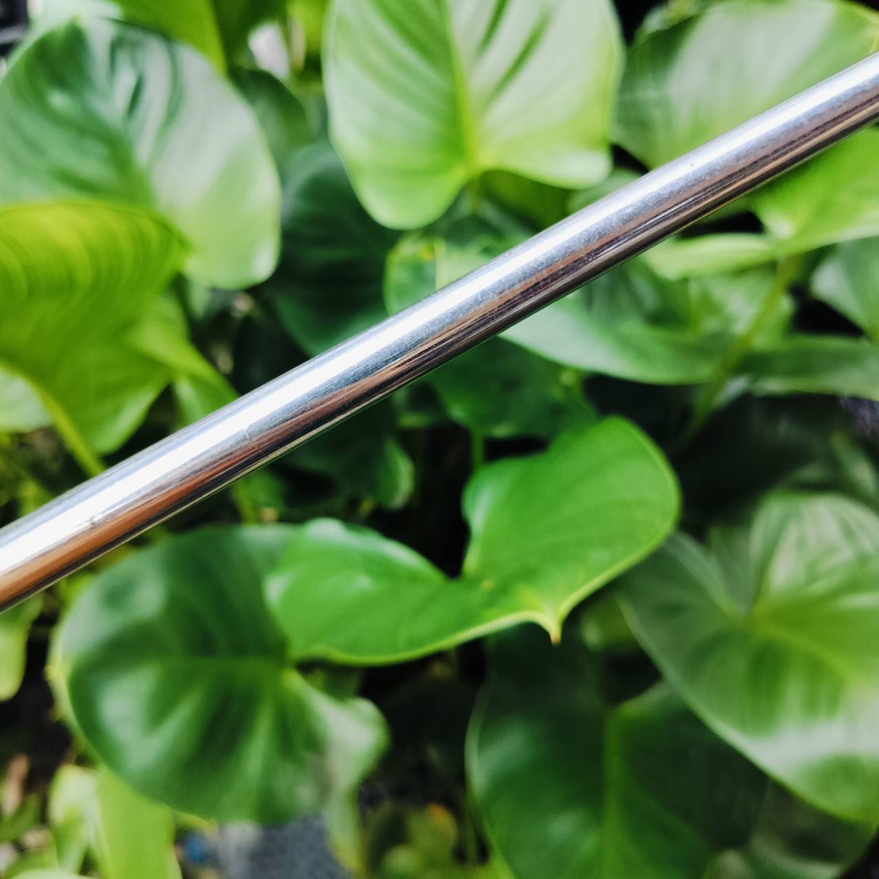 PUTTER PROKENNEX PK47 ความยาว 35 นิ้ว เป็นแบบสามบอล ชดเชยความผิดพลาดสูง สโตรคง่าย เล็งบอลได้ดี เวลาเหวี่ยงแล้วเห็นทิศทาง ได้ชัดมาก หน้าอินเซิร์ทนุ่มและเกาะไลน์ ไม้กอล์ฟพรีเมี่ยมมือสอง ของแท้ By NakaraLuxurious