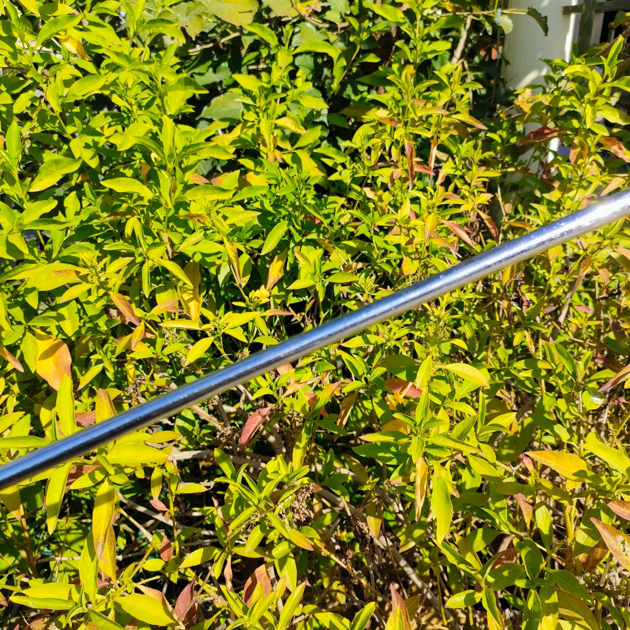 PUTTER PING PAL6 ความยาว 34 นิ้ว ก้าน PING เดิมๆ หน้าสัมผัสยาวมาก ชดเชยความผิดพลาดได้สูงสุด บล๊านซ์มากๆ พัตต์ตรงมาก