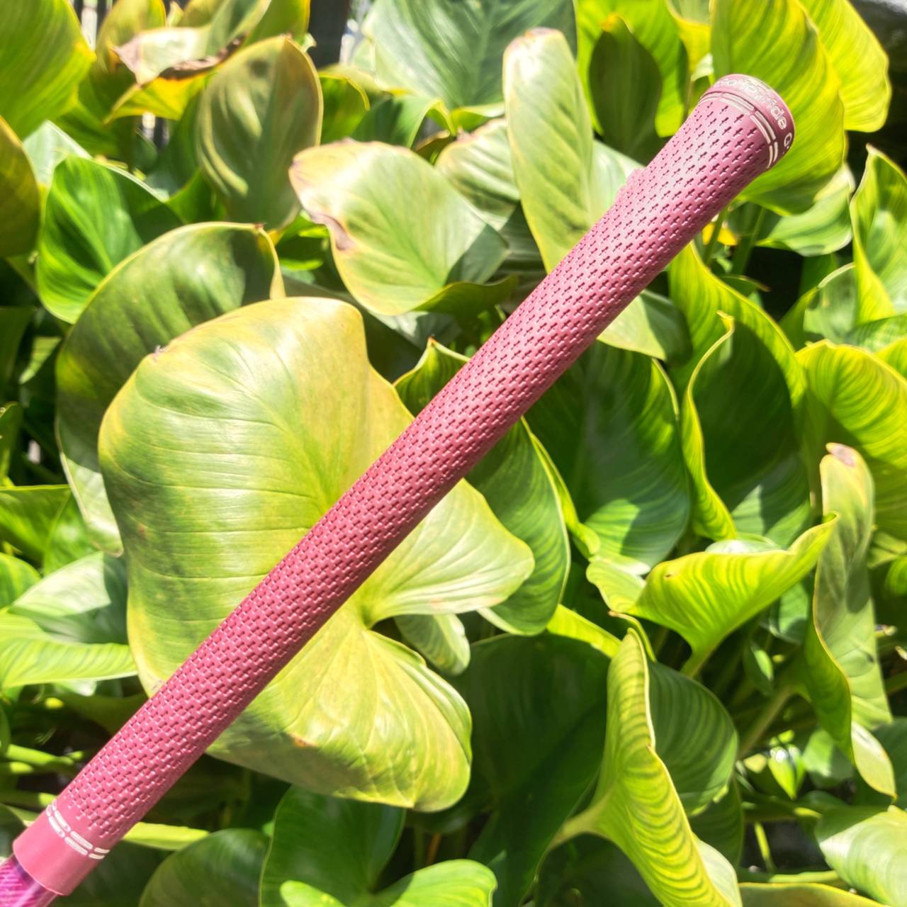 DRIVER PING GLe2 Lady ออกแบบและเพิ่มเทคโนโลยีที่ทันสมัย เพื่อตอบสนองท่านนักกอล์ฟสุภาพสตรี