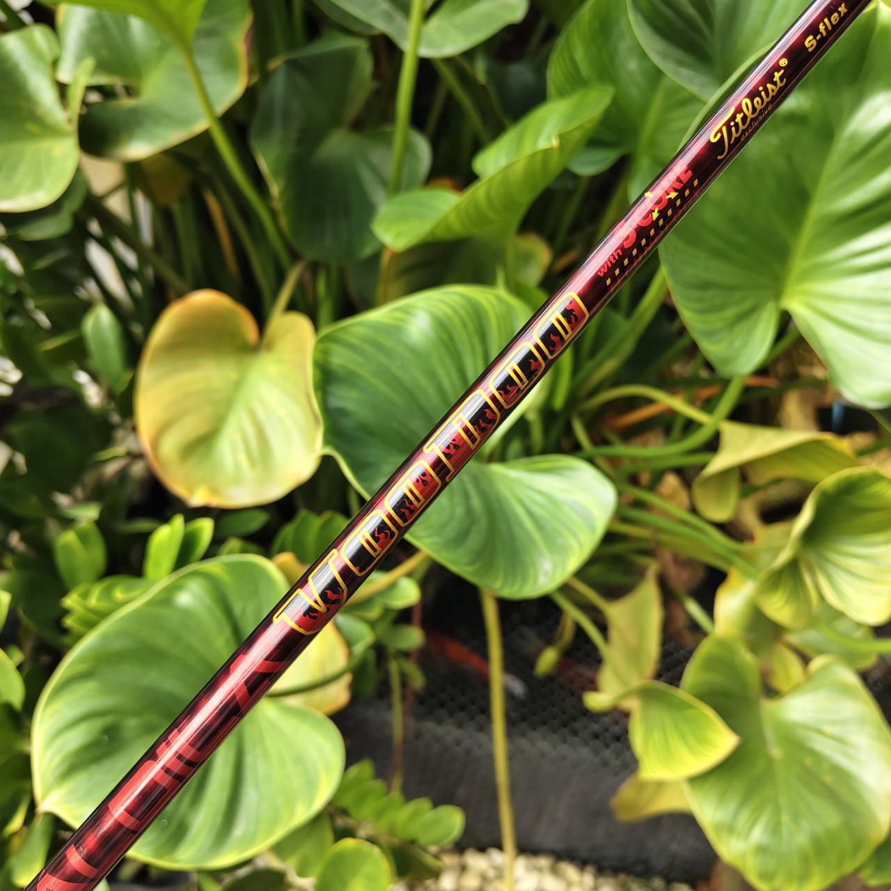 Driver Titleist 909D2 – องศา 8.5 จัดเลยครับ สปินต่ำ ตีมันส์มาก ฟีลลิ่งแน่นๆ แบบนักกอล์ฟตัวจริง