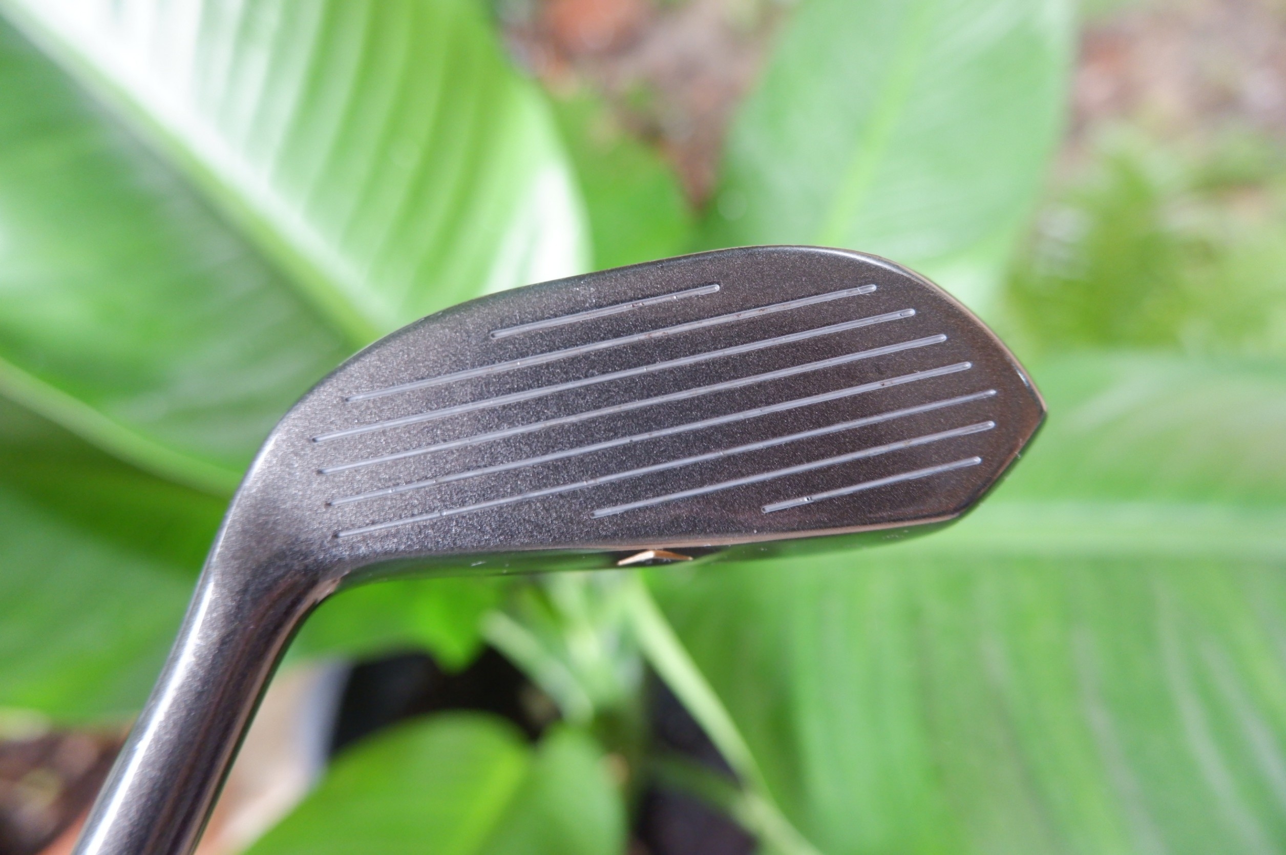 HYBRID iron wood liang.s