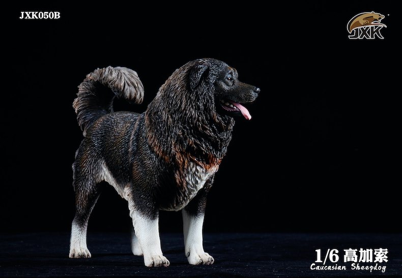 [สั่งจอง]JXK JXK050 1/6 : Caucasian Sheepdog