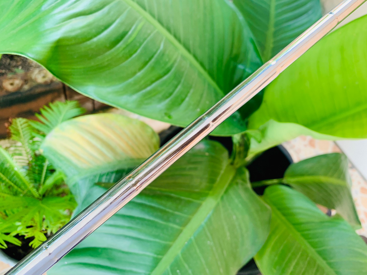 PUTTER ODYSSEY VERSA #7 WHITE