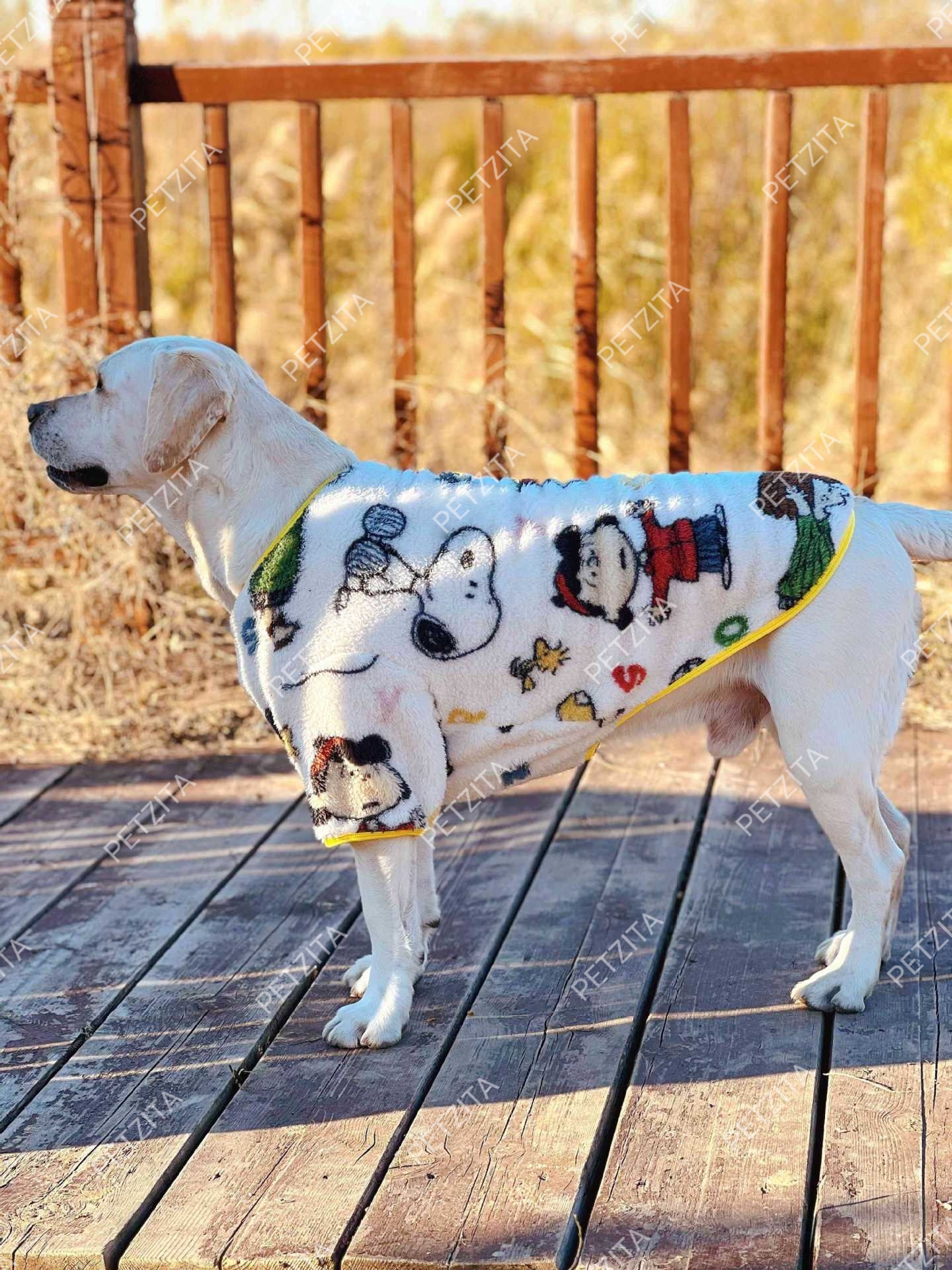 🇹🇭พร้อมส่ง🇹🇭 🐶🐕 เสื้อผ้าสำลีขนปุยนุ่มนิ่ม สำหรับ สุนัขพันธุ์กลาง ถึง หมาใหญ่