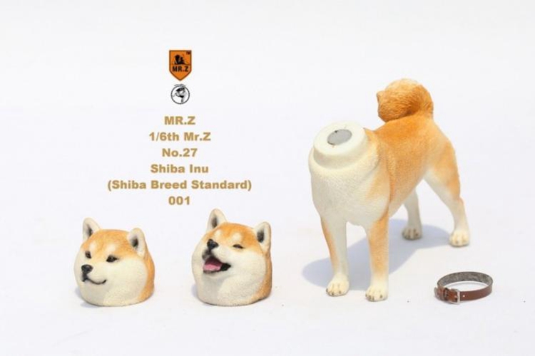[สั่งจอง]Mr.Z MRZ027 SL001-SL005 1/6 Shiba Inu