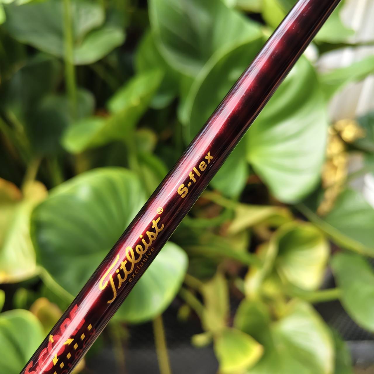 Driver Titleist 909D2 – องศา 8.5 จัดเลยครับ สปินต่ำ ตีมันส์มาก ฟีลลิ่งแน่นๆ แบบนักกอล์ฟตัวจริง