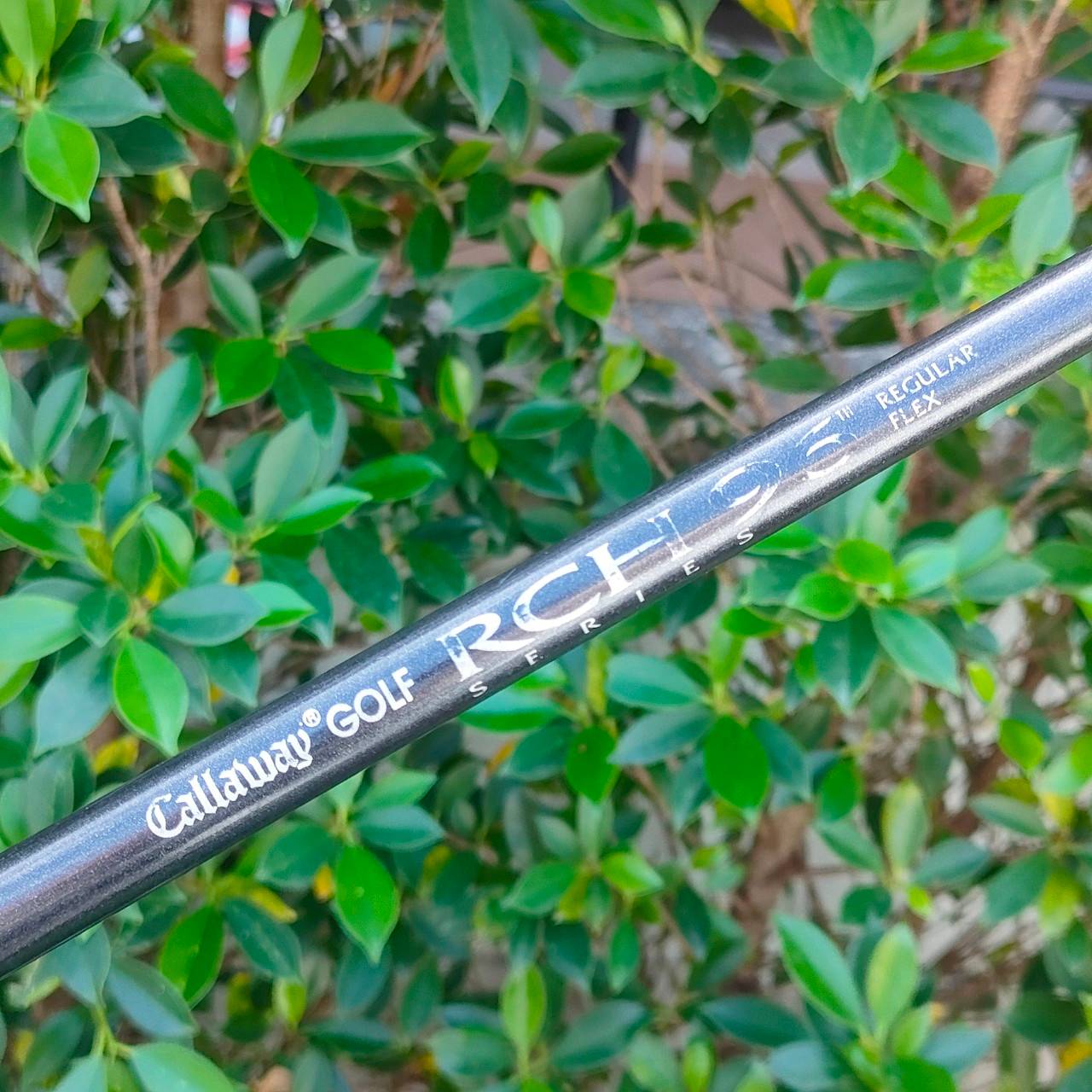 ชุดเหล็ก CALLAWAY BIG BERTHA มีเหล็ก 6-9 เเละ PW SW ก้าน RCH96 FLEX R ใบใหญ่ตีง่ายมากๆ ก้านแบบเจาะทะลุ ได้ฟีลลิ่งมากๆครับ