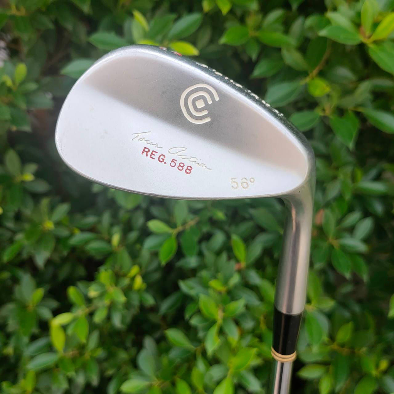 🏌️ WEDGE CLEVELAND REG 588 องศา 56 ก้าน FLEX WEDGE รุ่นดังมากที่สุดของ CLEVELAND 588 ชิพง่าย ติดสปินได้ดีมาก หน้าใบยังสวยๆ ไม้กอล์ฟมือสอง ของแท้ BY NakaraLuxurious