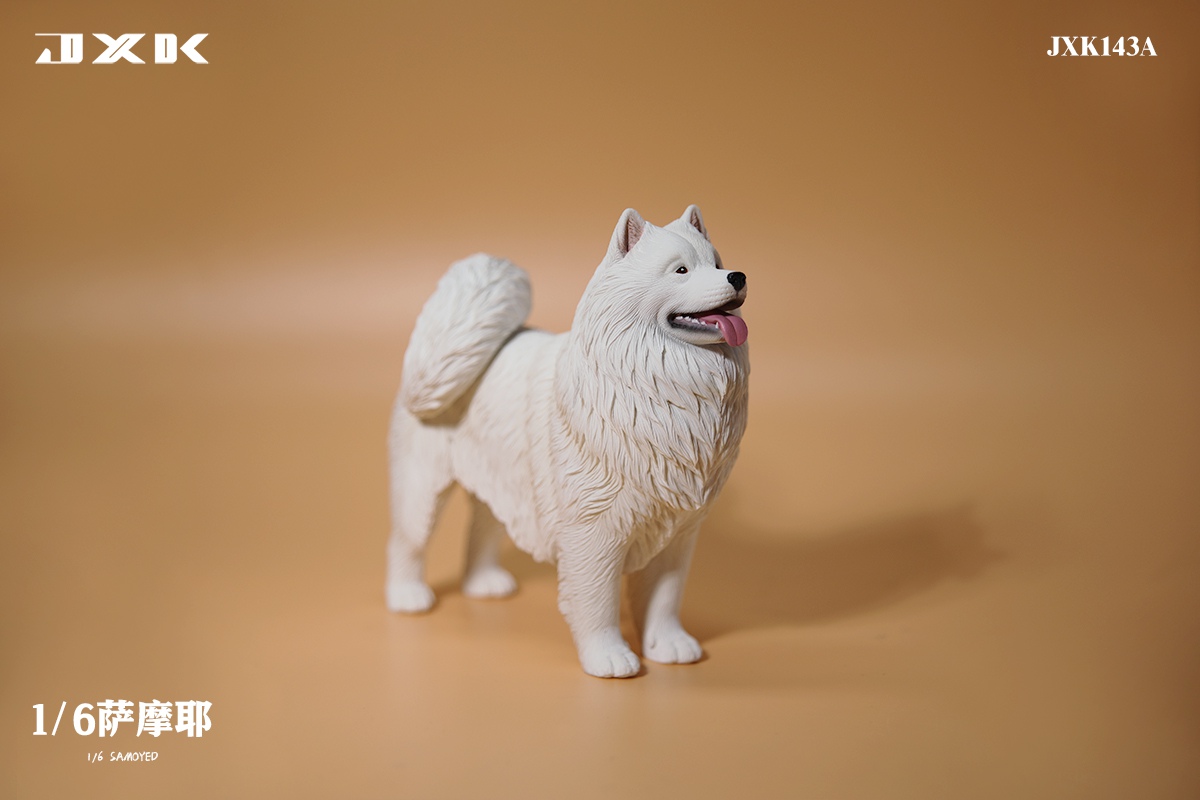 [สั่งจอง]JXK JXK143 1/6 : Samoyed