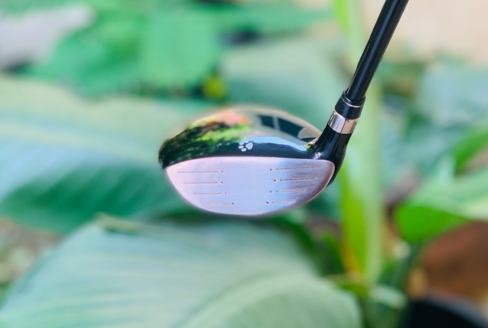 Hybrids Rooseveelt Teddy Bear G-18 **ไม้กอล์ฟสำหรับผู้หญิง**