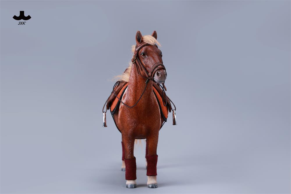 [สั่งจอง] JXK : Bangs Little Pony - Shetland Pony