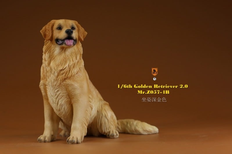 [สั่งจอง]Mr.Z MRZ057 1/6 : Golden Retriever 2.0
