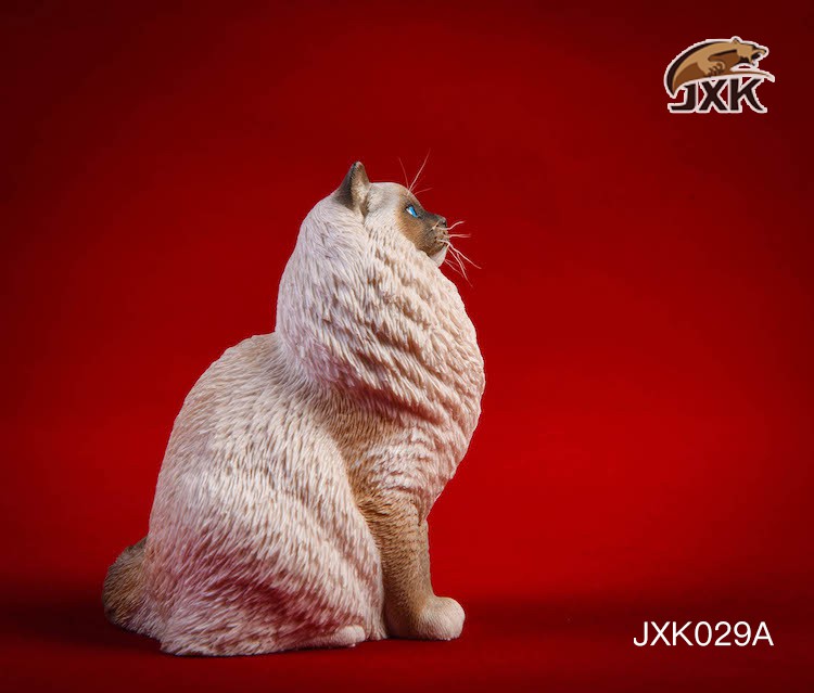 [สั่งจอง] JxK.Studio 1/6 Jxk029/ Jxk030 A/B/C/D -Ragdoll / British Shorthair Cat
