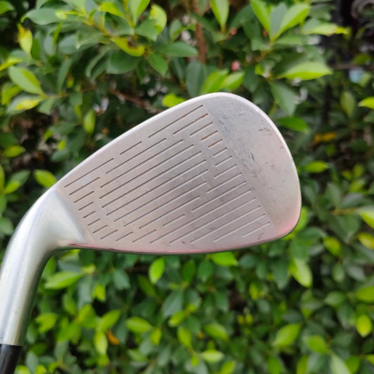 ชุดเหล็ก KING COBRA 3100 I/H มีเหล็ก 4 - 9 เเละ PW ก้าน N.S.PRO 1030H FLEX S เป็นเหล็ก UNDER CUT เน้นๆ ตีง่ายมาก และตีใส่ได้เต็ม ก้าน เต็มคาราเบล มากครับ