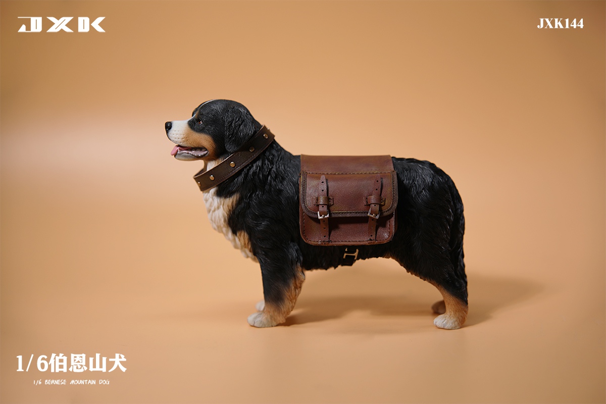 [สั่งจอง]JXK JXK144 1/6 : Bernese Mountain Dog