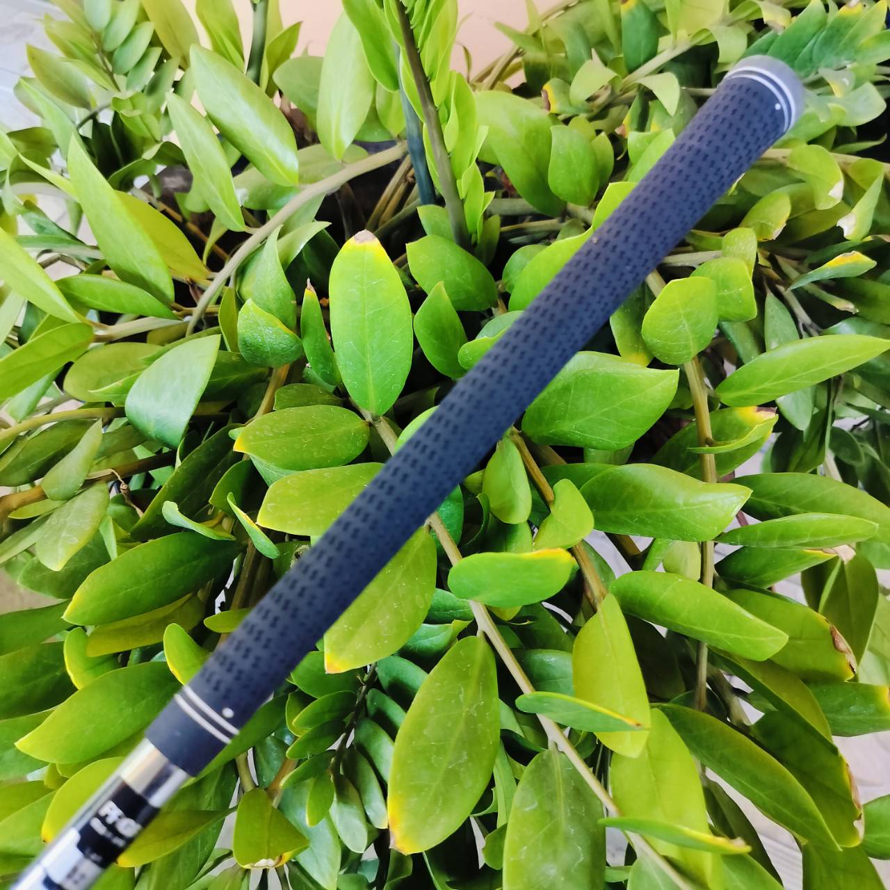 เหล็ก 7 PRGR NABLA RS เหล็ก FORGED สุดพรีเมี่ยมจากญี่ปุ่น ออกแบบให้ตีง่าย เข้าบอลแน่น นุ่มนวล ก้าน NS PRO รุ่นพิเศษ M-40 ไม้กอล์ฟพรีเมี่ยมมือสอง ของแท้ By NakaraLuxurious