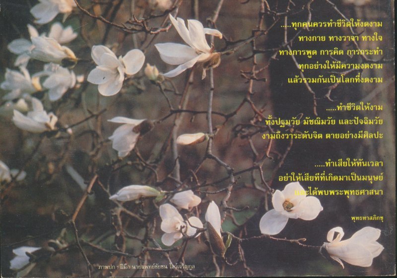 ชีวิตงาม เล่ม ๒
