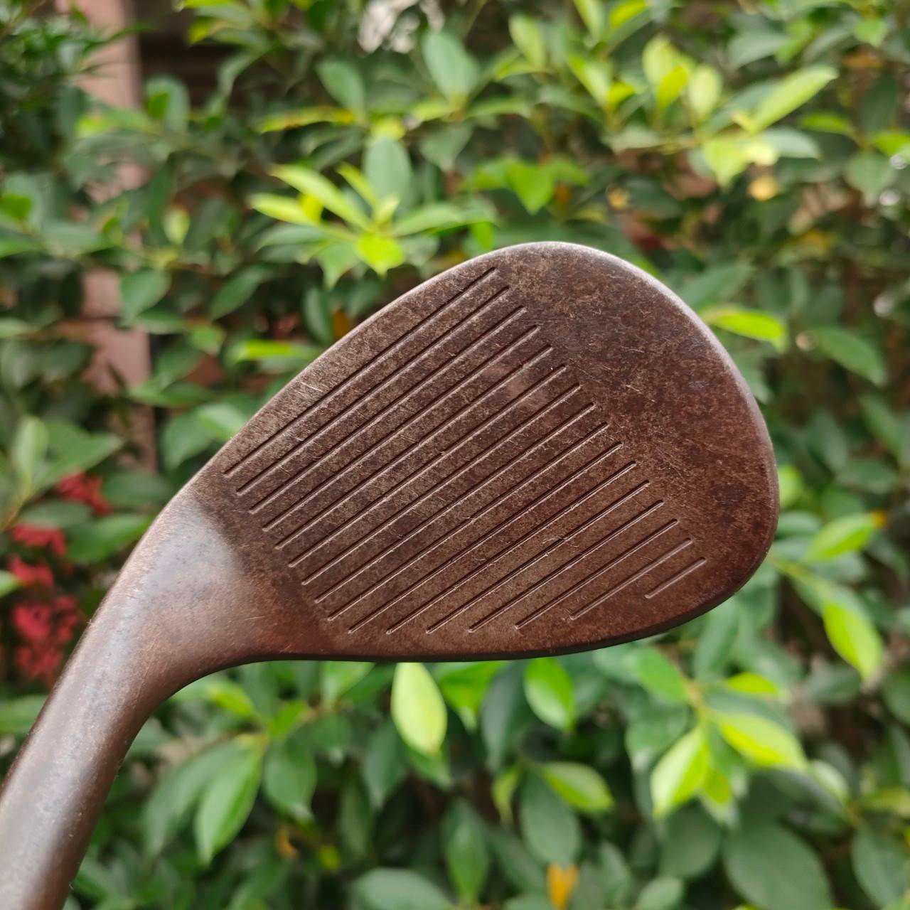 WEDGE CLEVELAND REG 588 องศา 57 ก้าน PRECISION RIFLE FCM.6.0 FLEX WEDGE รุ่นนี้ดังที่สุด 588 รุ่นสนิม คือเนื้อแท้ไม่เคลือบ ได้ทั้ง ความนุ่มจัด และสปินจัดๆ ก้านไรเฟิล สุดยอดเหมาะกับ WEDGE ชิพแม่นๆ ลดทอร์คได้เยอะมากๆ