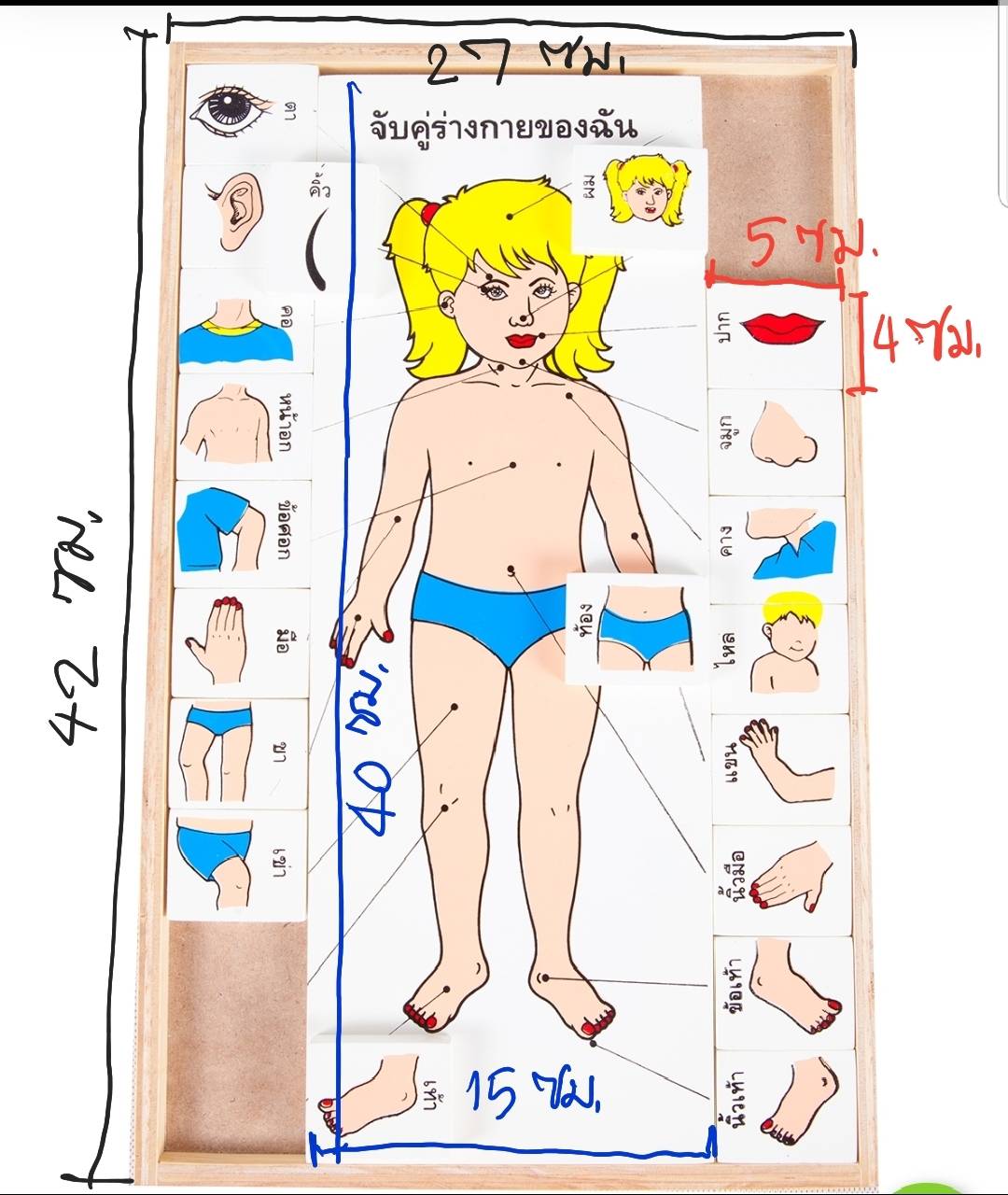 จับคู่ร่างกายของฉัน (ภาษาไทย) , ของเล่นไม้, ของเล่นเสริมพัฒนาการ, ของเล่นเด็ก, สื่อการสอนเด็ก