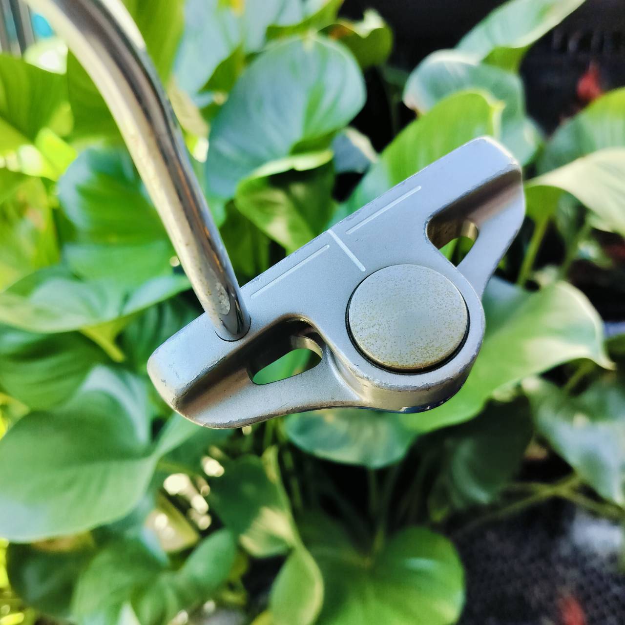 PUTTER NIKE OZ ยาว 34 นิ้ว สภาพสวยเดิมมากค่ะ รุ่นนี้ดีมาก!!! น้ำหนักดีมาก วางตุ้มน้ำหนักไว้ถูกจุด พัตต์ฟอลโล่ทรูดีมาก ชดเชยผิดพลาดดีมาก ไม้กอล์ฟมือสอง ของแท้ By NakaraLuxurious
