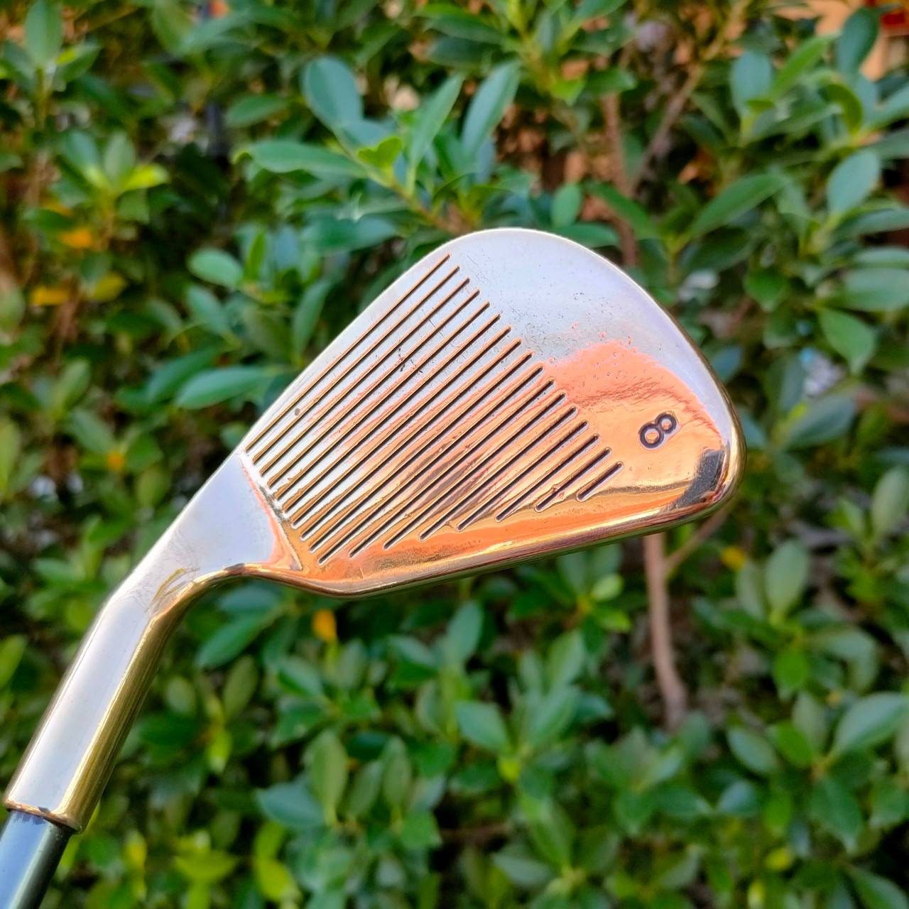 ชุดเหล็ก PING EYE 2 PLUS จุดแดง สุดยอดแห่งวัสดุ Beryllium Copper เป็นรุ่น PLUS อีกด้วย ดูที่ใบเหล็กจะมี เครื่องหมาย + เป็นรุ่นที่ดีที่สุด ในปัจจุบัน