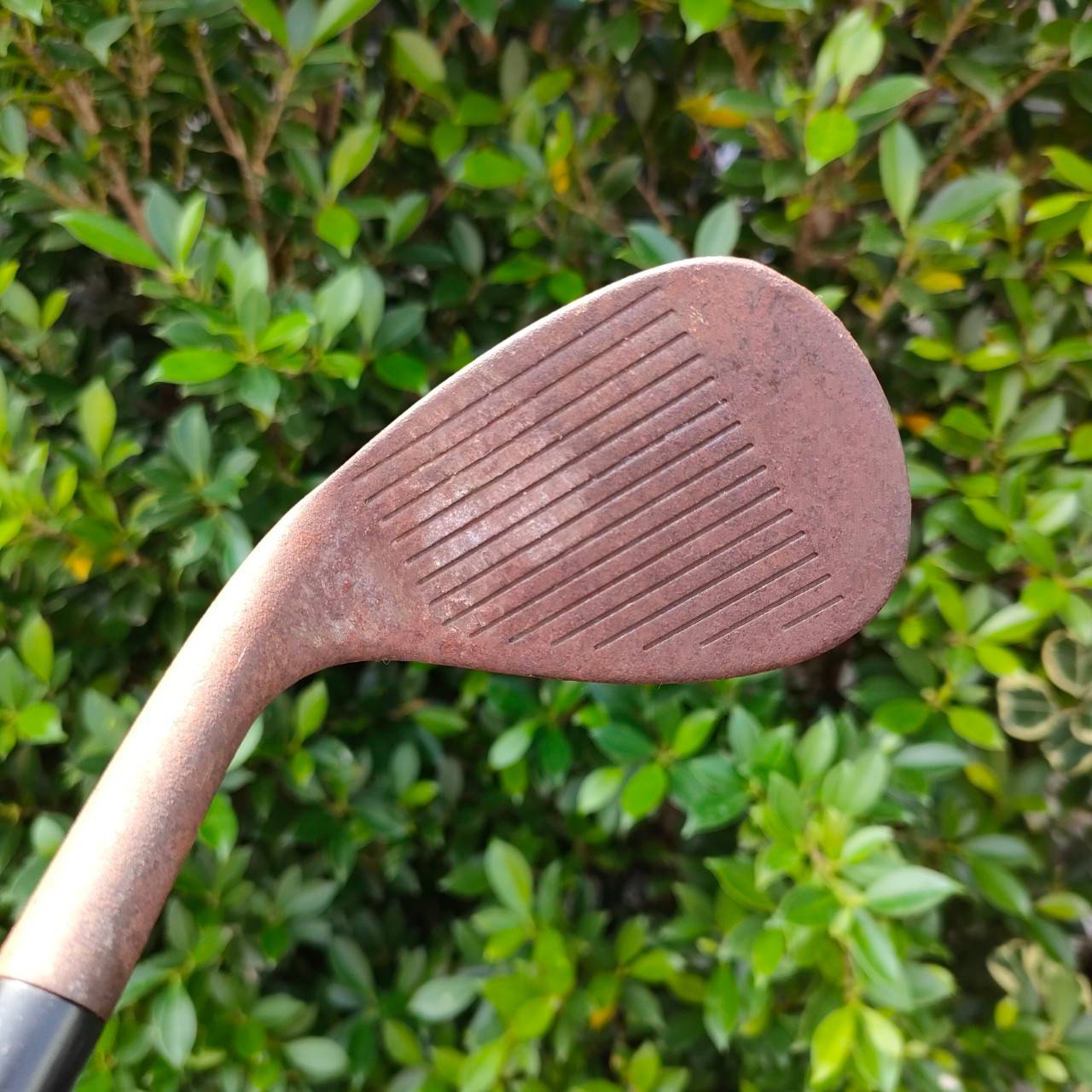 WEDGE CLEVELAND 900 องศา 60 FLEX WEDGE รุ่นสนิม เนื้อเหล็พรีเมี่ยมแท้ ไม่เคลือบ ทำให้ได้ความรู้สึก ที่พิเศษ นุ่ม สปินจัด ตกหยุด