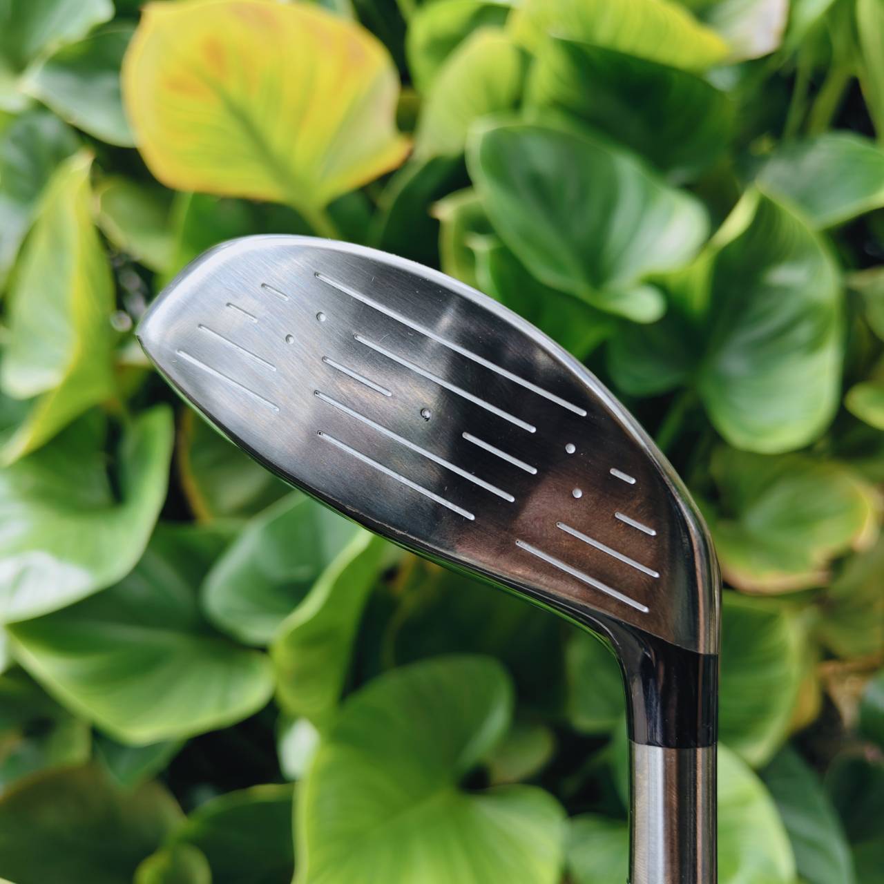 มือซ้ายตัวเด็ด!! FW3 MARUMAN SHUTTLE หน้าเด้ง MARAGING องศา 15