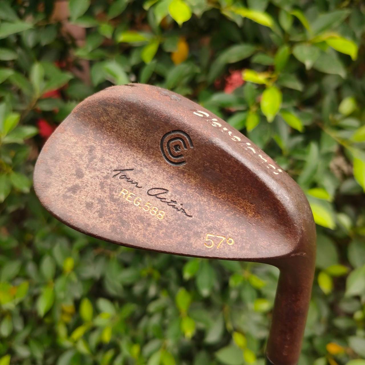 WEDGE CLEVELAND REG 588 องศา 57 ก้าน PRECISION RIFLE FCM.6.0 FLEX WEDGE รุ่นนี้ดังที่สุด 588 รุ่นสนิม คือเนื้อแท้ไม่เคลือบ ได้ทั้ง ความนุ่มจัด และสปินจัดๆ ก้านไรเฟิล สุดยอดเหมาะกับ WEDGE ชิพแม่นๆ ลดทอร์คได้เยอะมากๆ