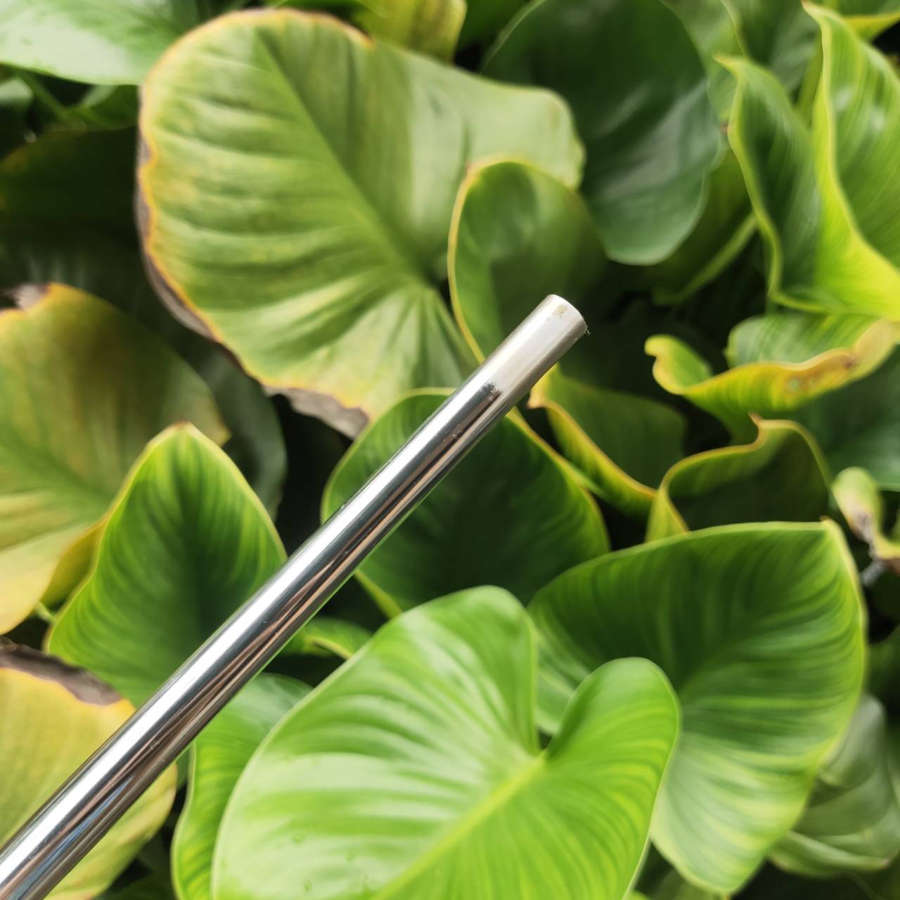 ก้านเหล็ก DYNAMIC GOLD 105 S200 เหมาะกับใส่เวดจ์, เหล็ก 9 ตัวจริงเรื่องความแน่นและบาลานซ์!