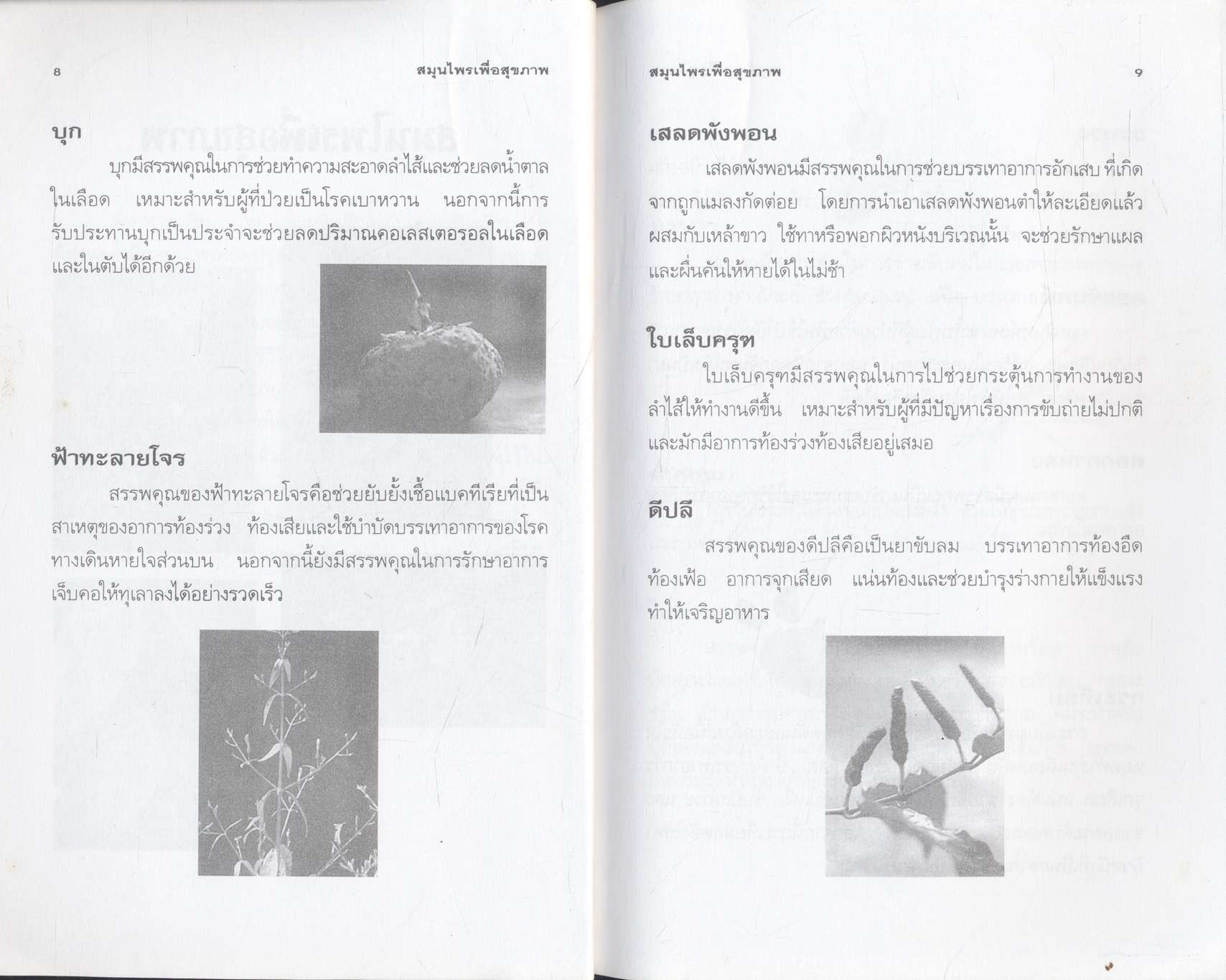 สมุนไพรเพื่อสุขภาพ